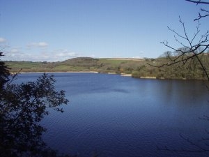 Loe Pool - largest fresh water lake in Cornwall