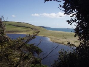 Loe Bar 