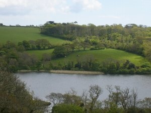 Loe Bar - Degibna