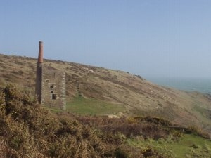 Rinsey
